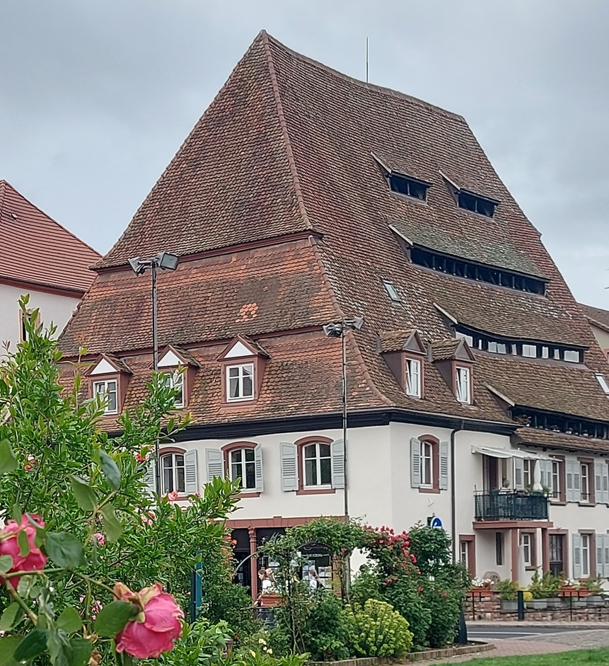 Wissembourg - 2025